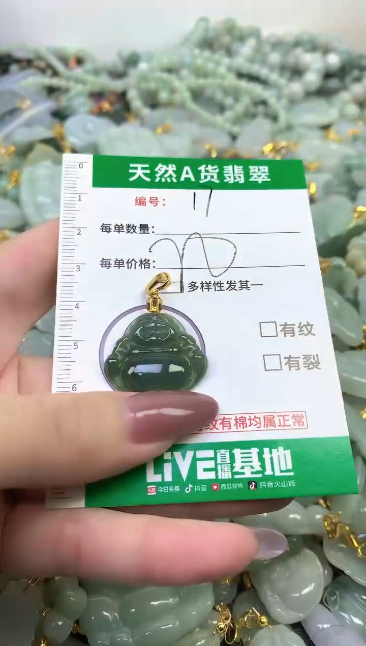 颈饰未镶嵌翡翠纯天然缅甸A货翡翠