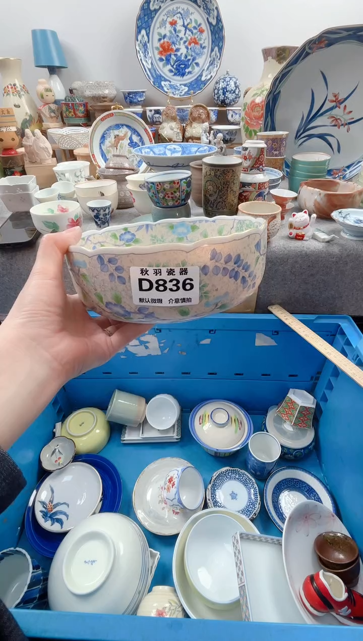 日式蔬*默认微瑕秋羽D836