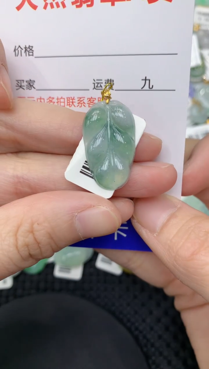 【闪购商品】翡翠颈饰18K金镶嵌11111111