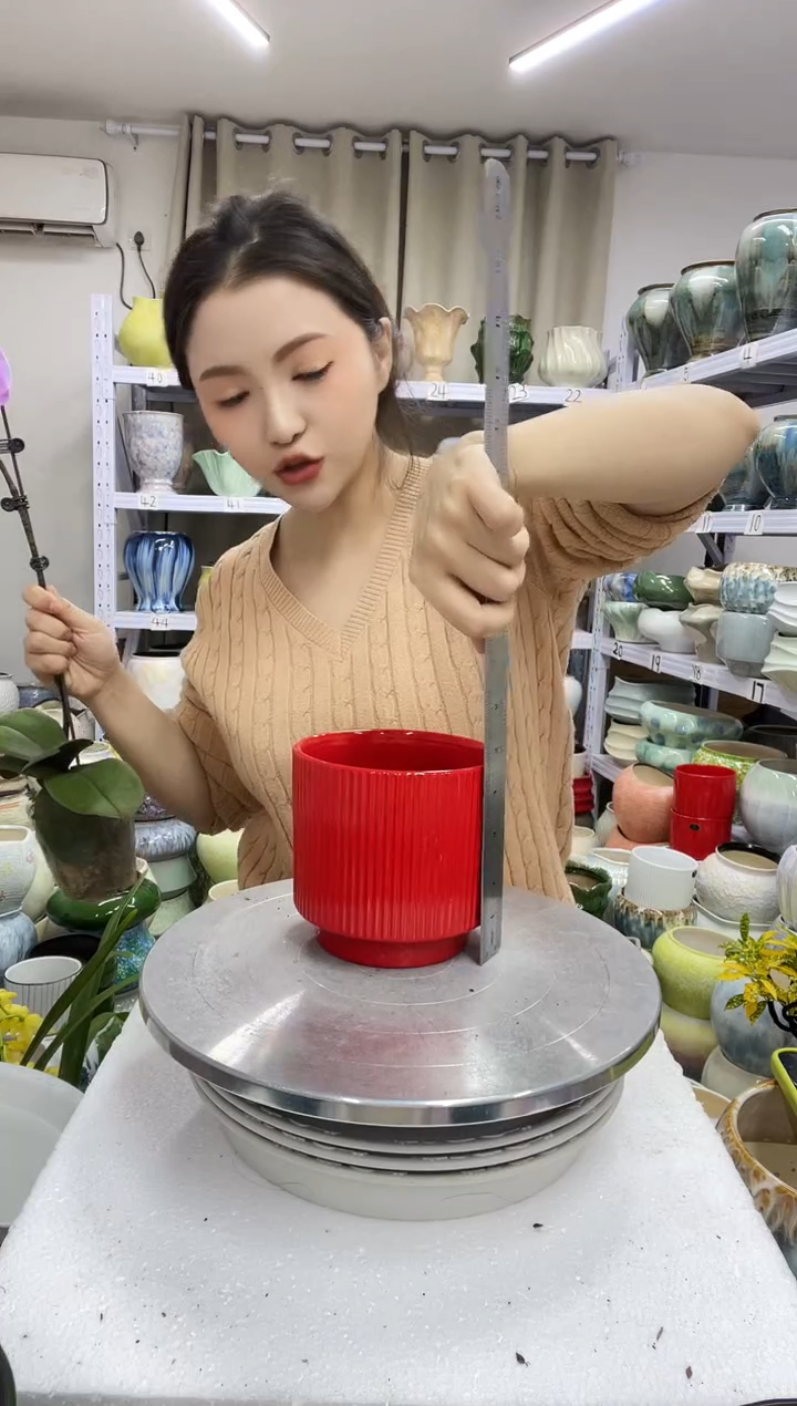 12.30陶瓷花盆直播链接高.   12   口11