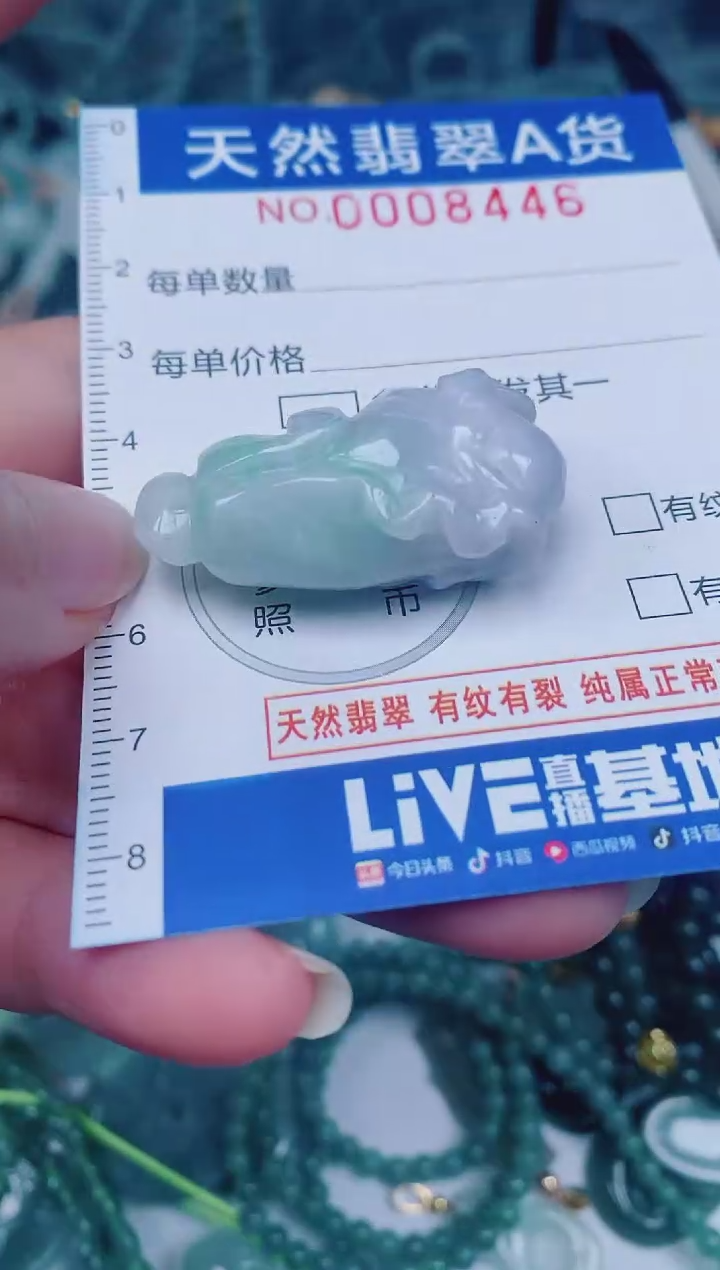 颈饰未镶嵌翡翠00008446