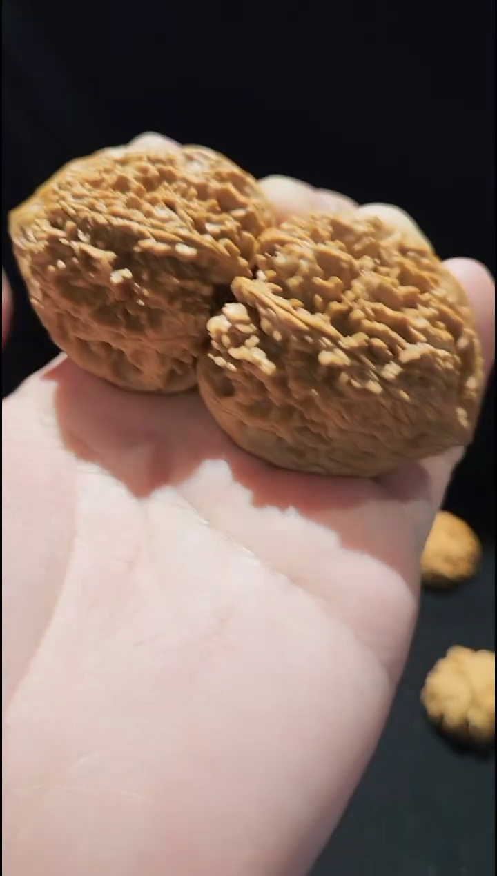 把件核桃【野牛狮子头】已打底精品