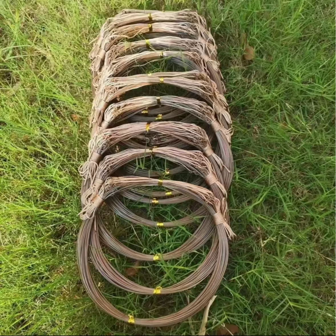 【越拉越紧】户外家用50圈枯草色鱼线尼龙线圈编织绳养殖用尼龙线圈