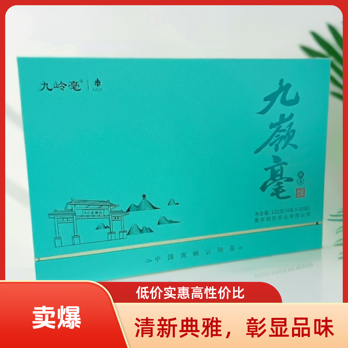 三峡天丛九岭毫明前特级绿茶礼盒装