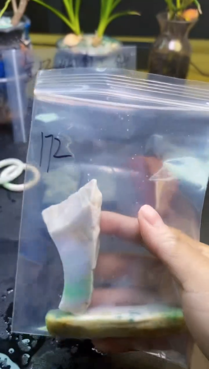 翡翠未镶嵌颈饰天然翡翠172