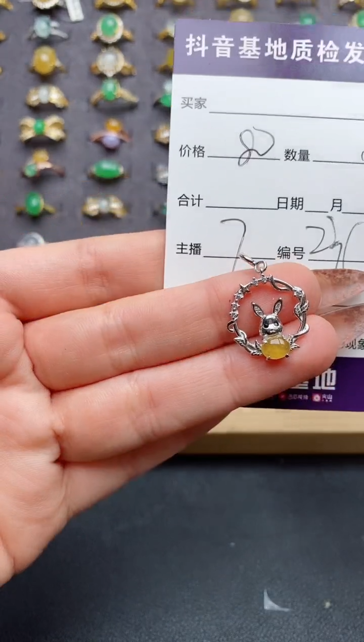 翡翠银S925镶嵌颈饰........