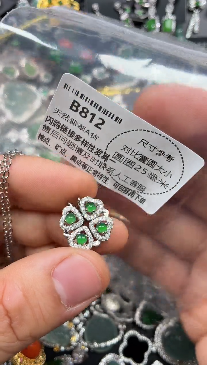 颈饰未镶嵌翡翠B812项链