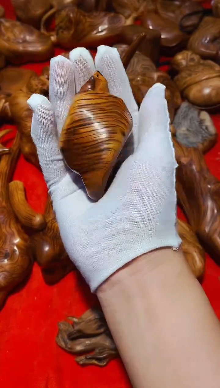 【闪购商品】柏木55崖柏崖柏崖柏崖柏崖柏