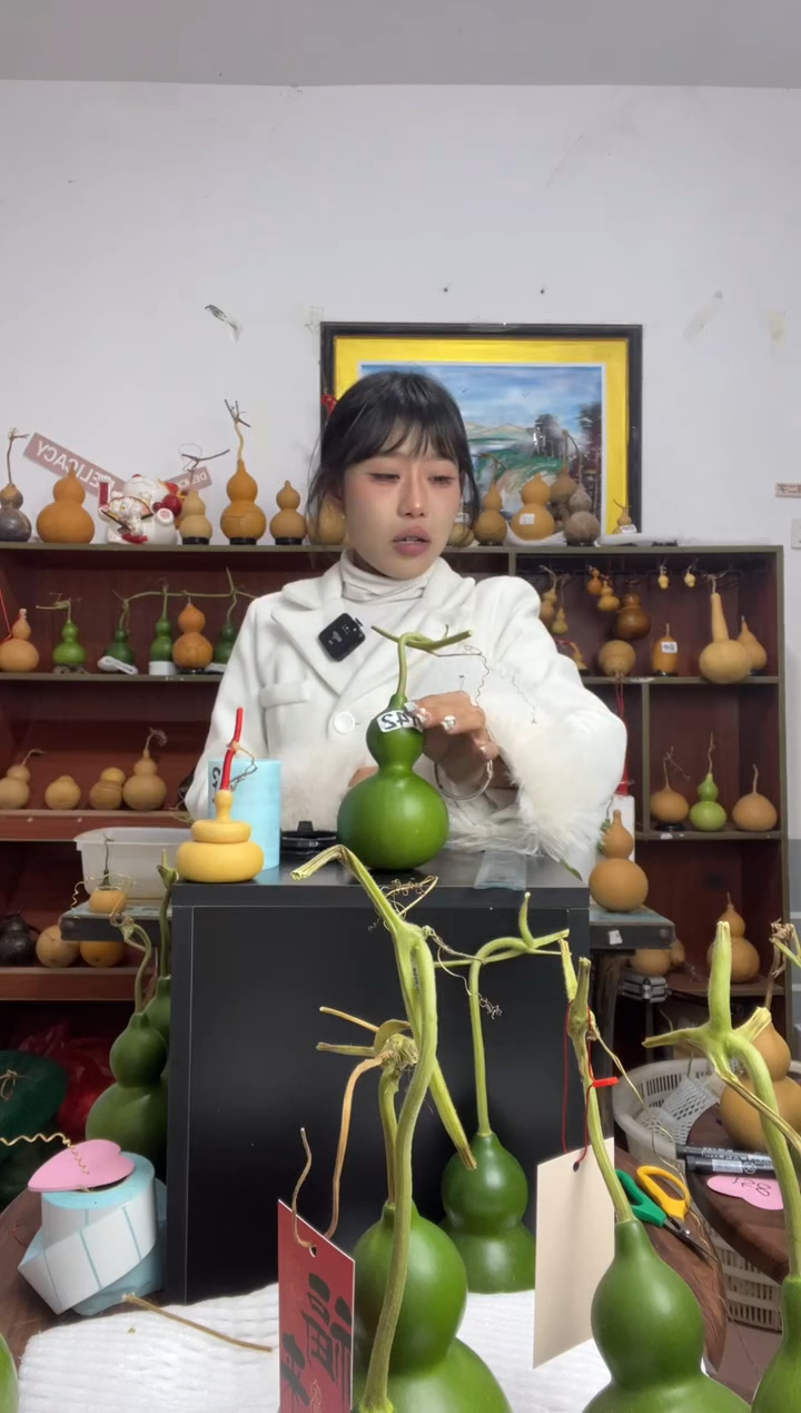 y****a142天然葫芦摆件 一物一拍龙头不保售后