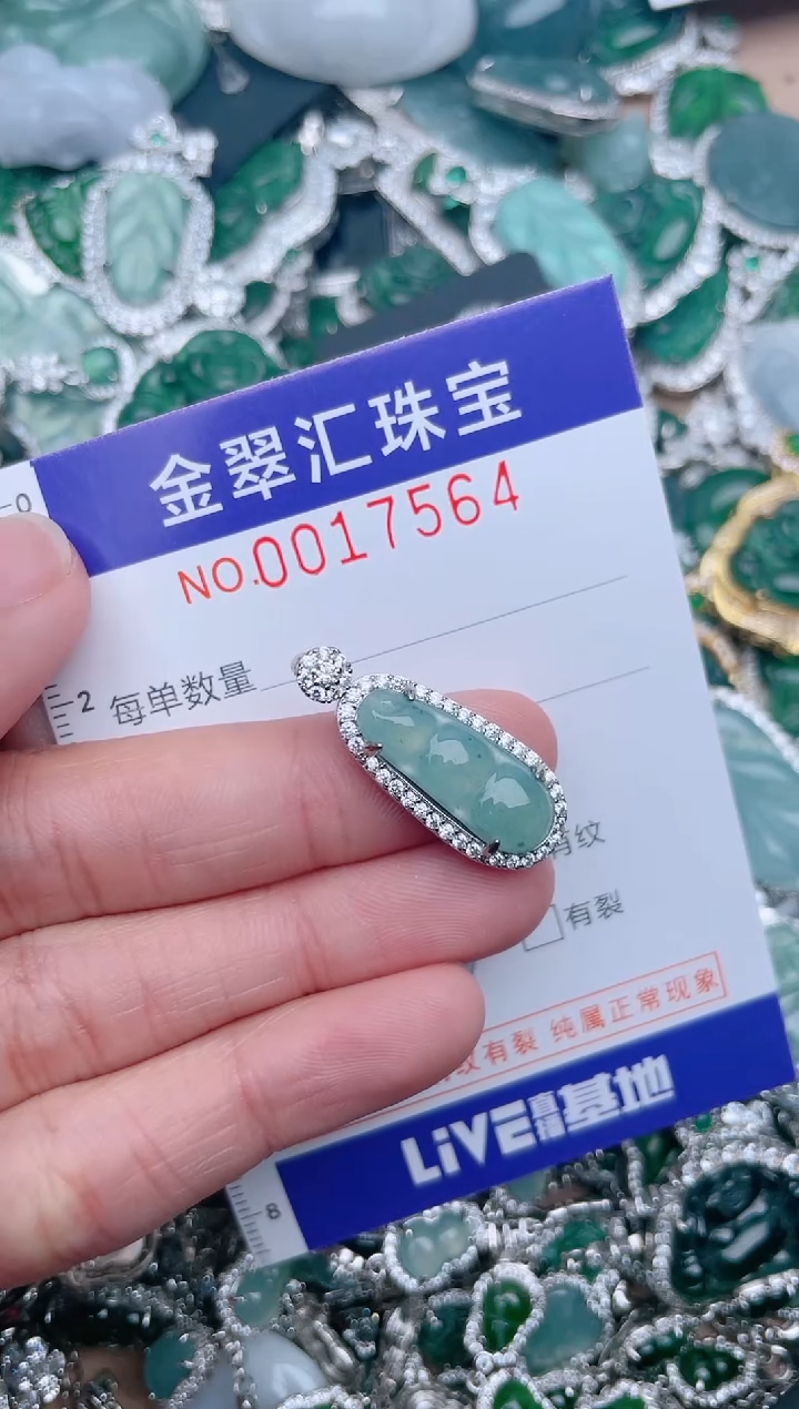 【闪购商品】翡翠颈饰未镶嵌17564.....1