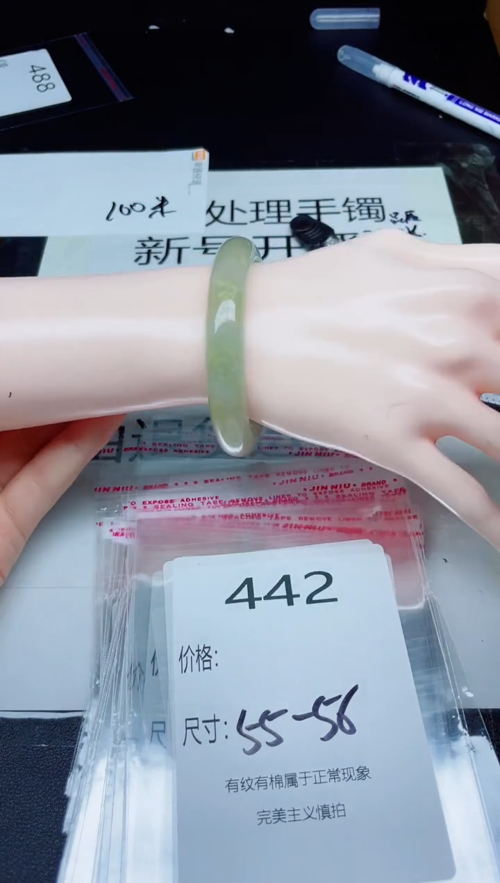 未镶嵌手镯翡翠442