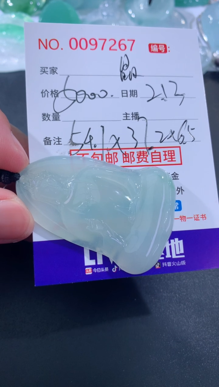 【闪购商品】翡翠颈饰未镶嵌晶
