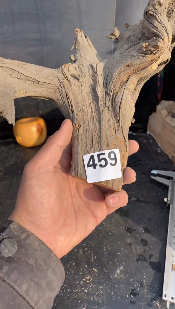 柏木（崖柏）太行陈化崖柏切片！随机（1单1片）459