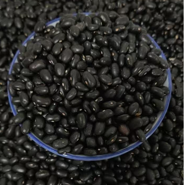 自家小园产黑豆（白芯）四斤