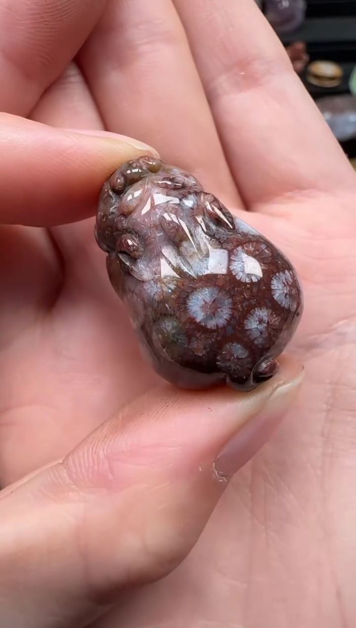 颈饰未镶嵌硅化珊瑚（珊瑚玉）677