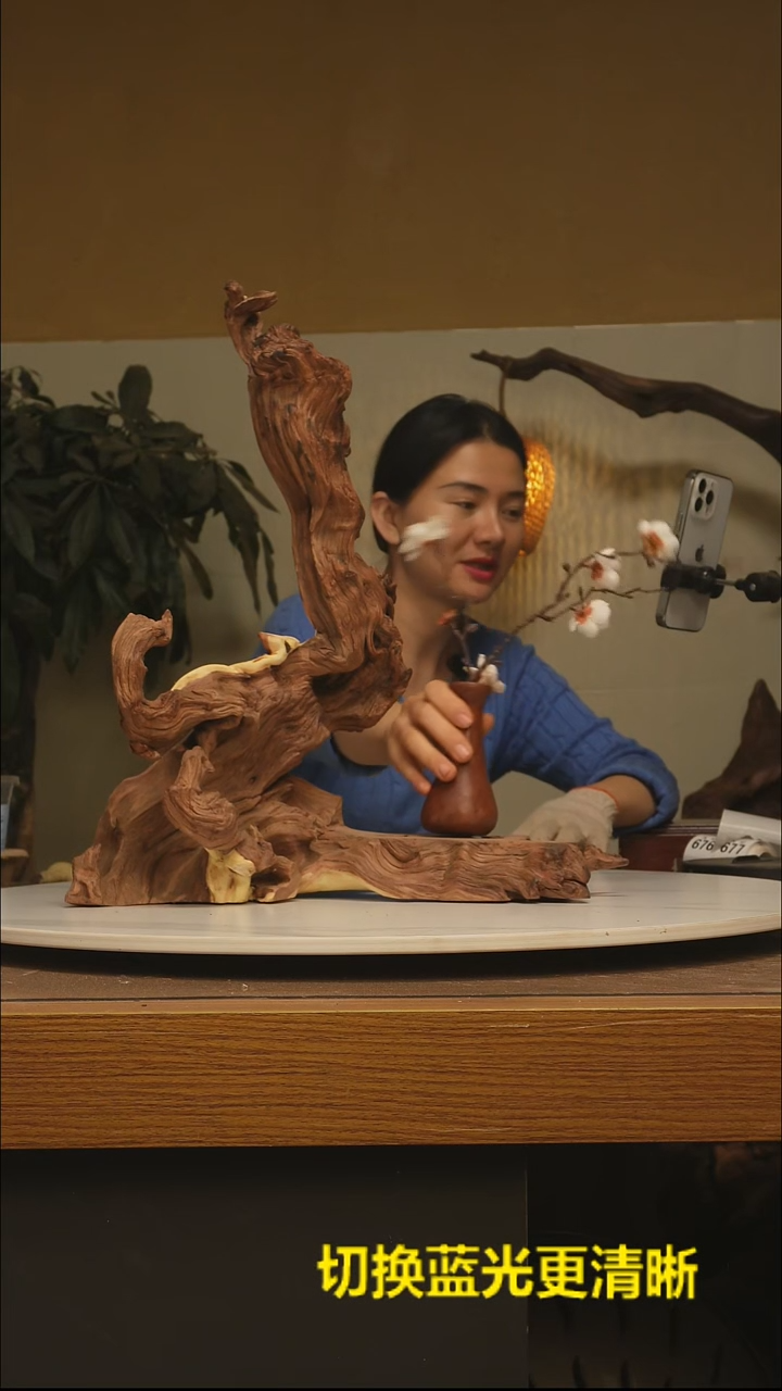 木浮*根雕摆件类675