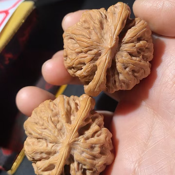 平谷九龙文玩核桃文玩老树蜡皮小众