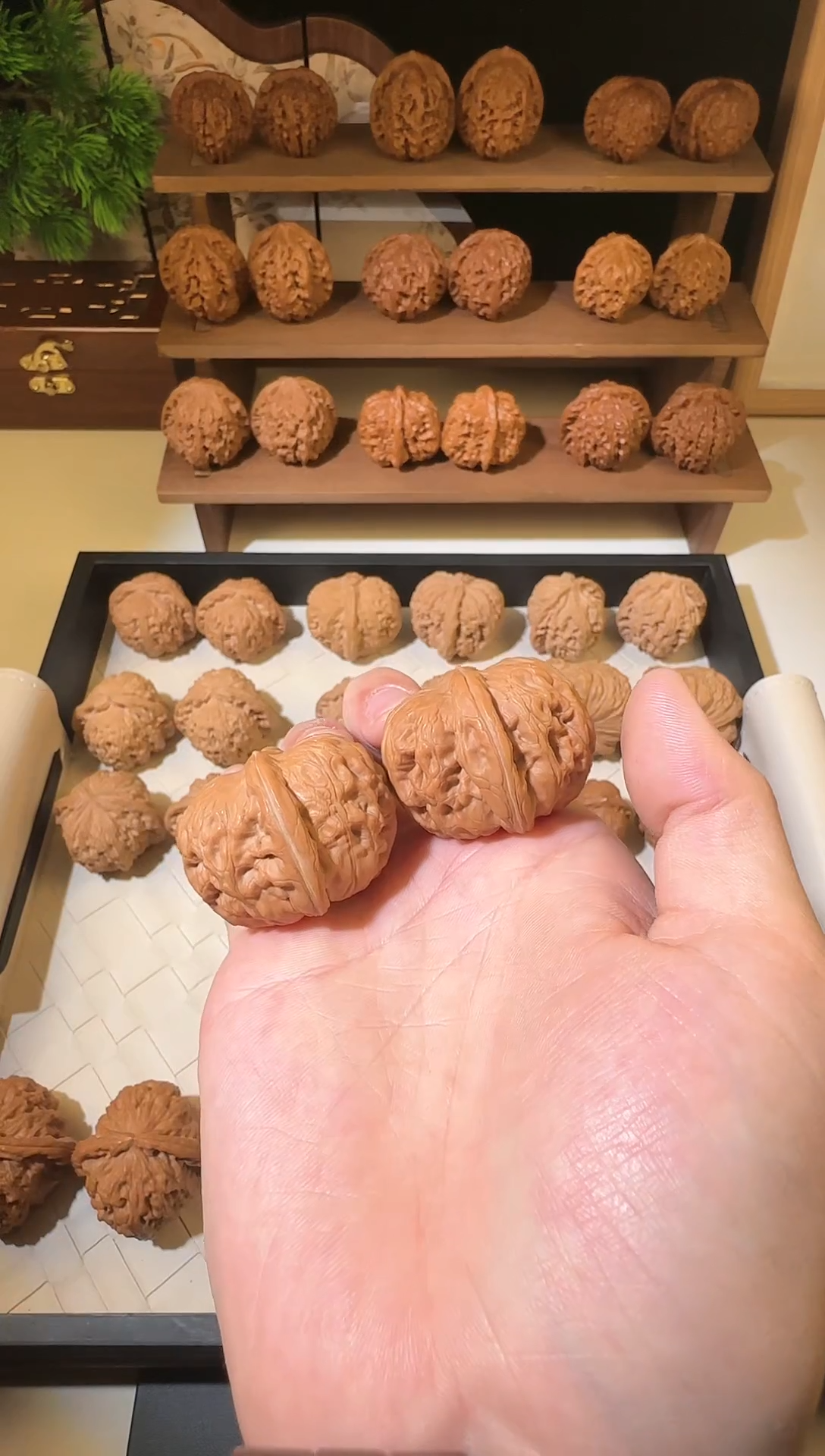 【闪购商品】文玩核桃把件40+全品元宝