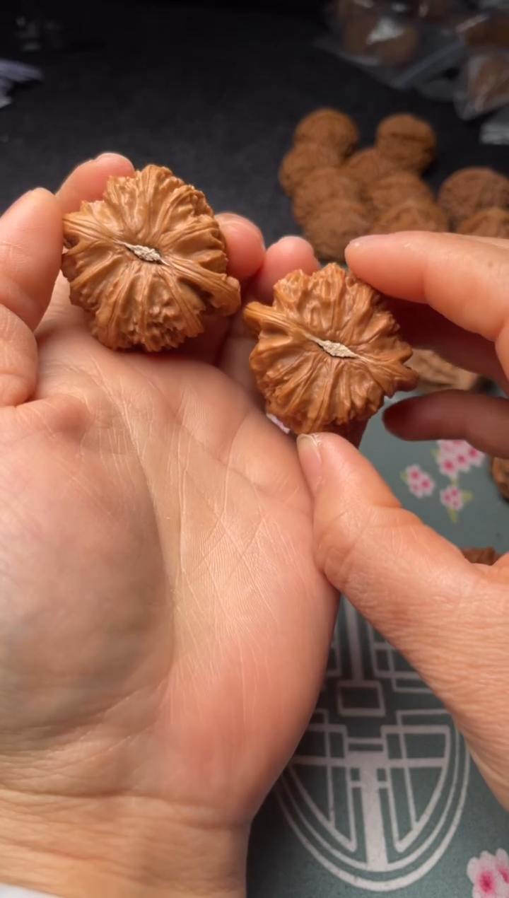 把件文玩核桃w148  白狮子   41尺