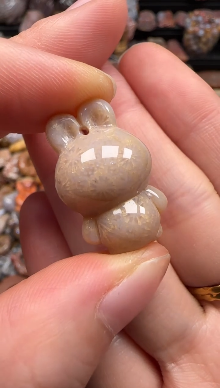 【闪购商品】硅化珊瑚（珊瑚玉）颈饰未镶嵌242