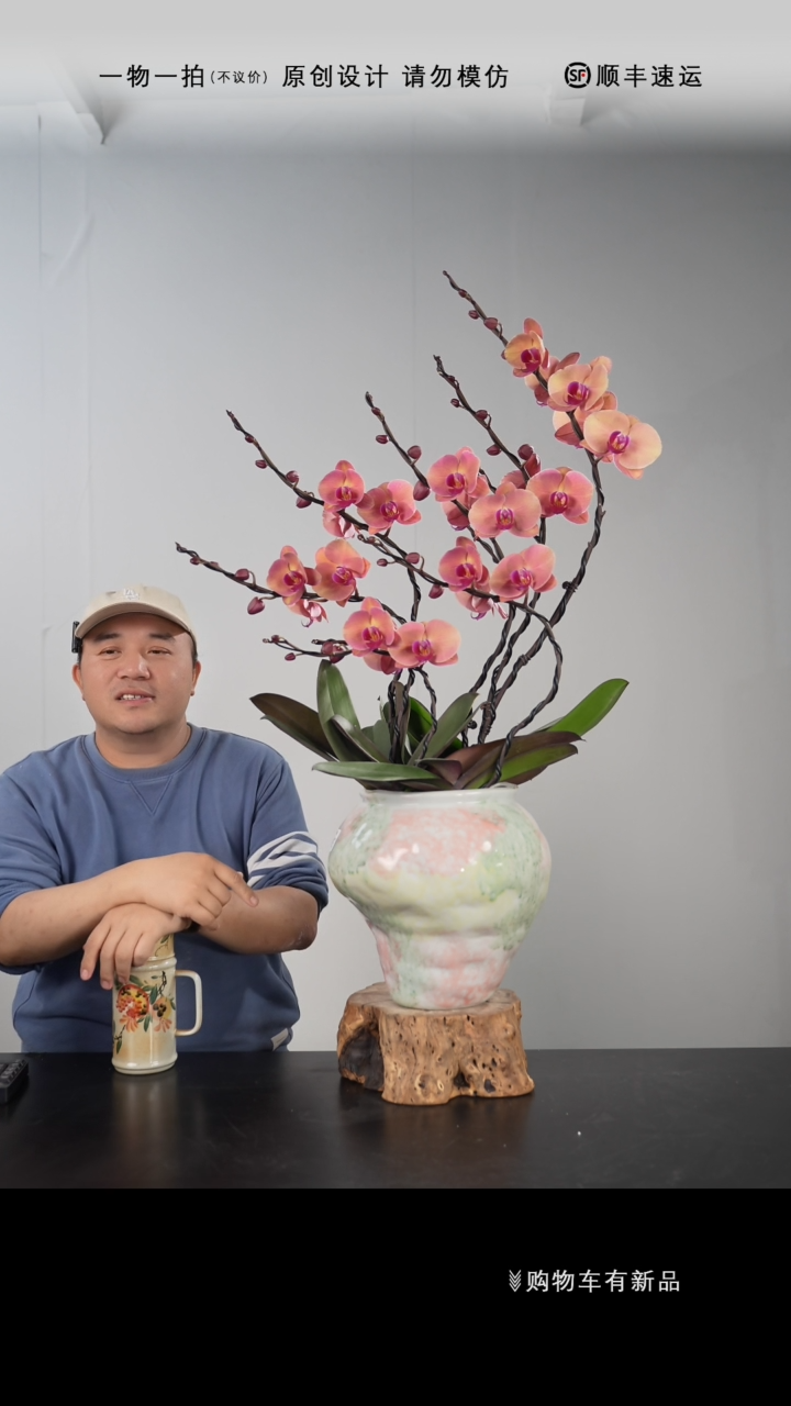 【闪购商品】060号链接【一物一拍】艺术盆景