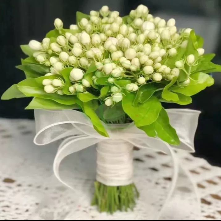 茉莉一扎 家庭 %20不售后（两单包邮）  限银川市内可拍