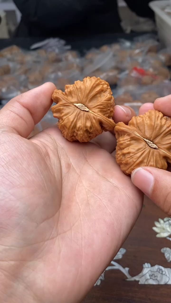 【闪购商品】文玩核桃把件A107号45尺白狮子