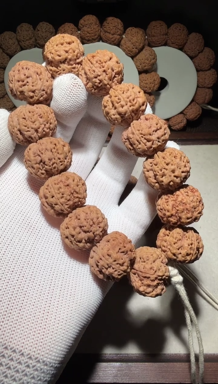 【闪购商品】金刚菩提手串超头满肉深沟粗筋梅花双龙22