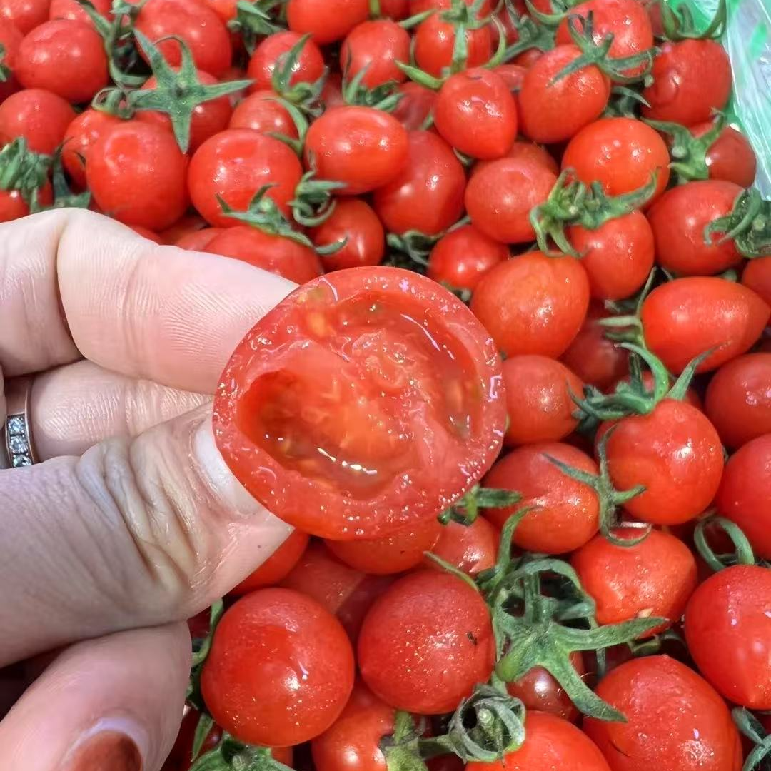 【玲珑圣女果】一箱装！2斤左右！脆甜小巧串枝番茄山东省