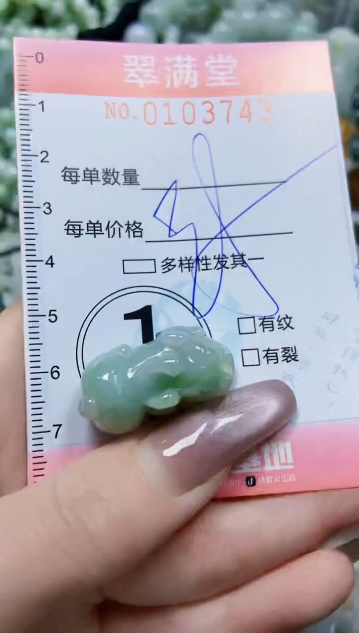 【闪购商品】翡翠颈饰未镶嵌闪购0103743