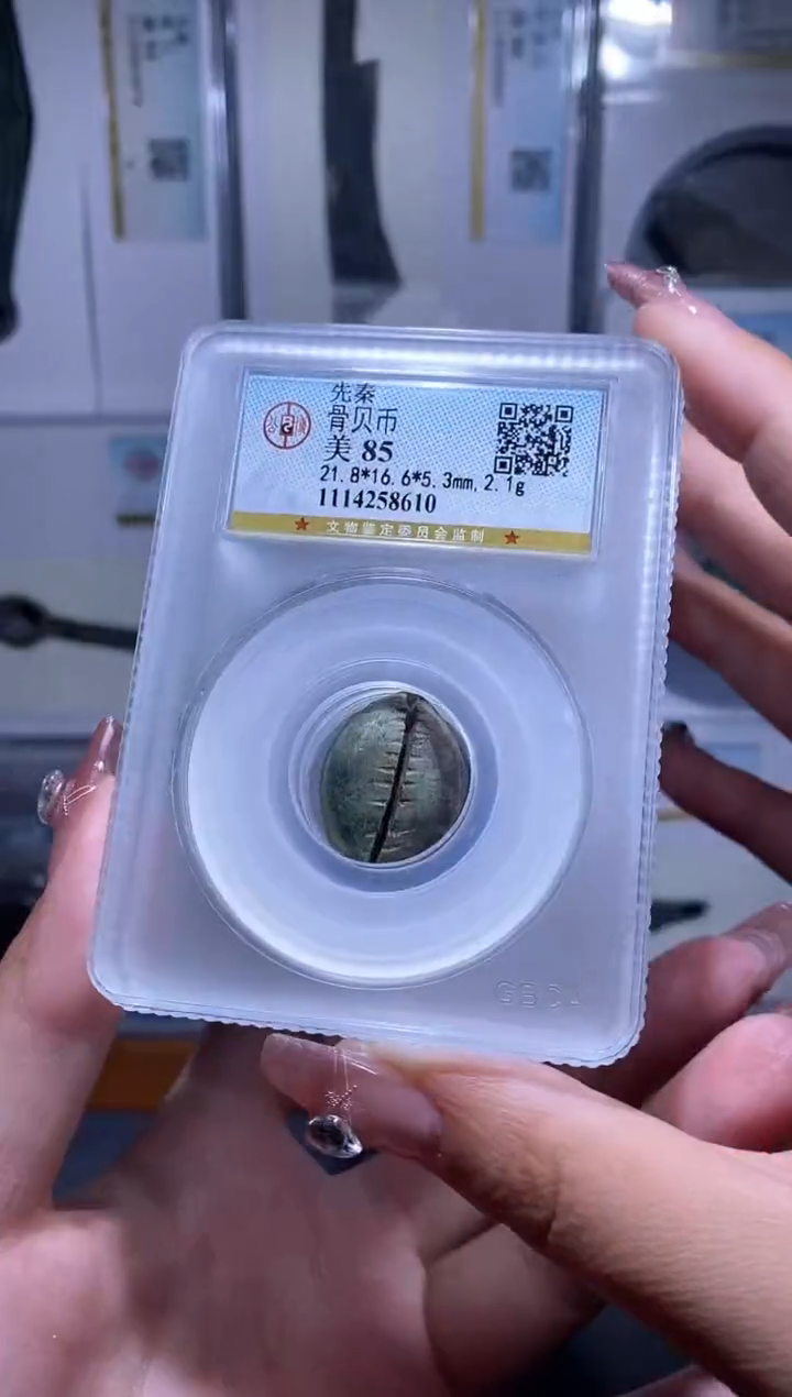 【闪购商品】铜品泉收藏     骨贝币一枚