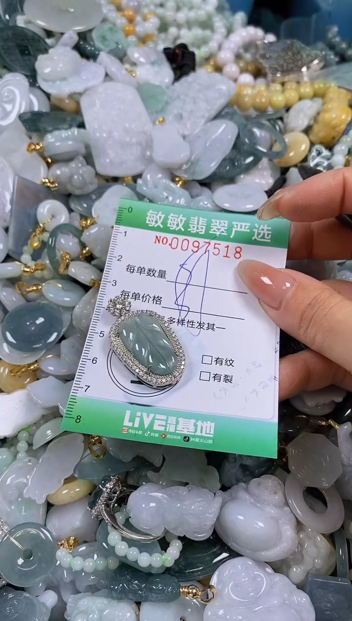 【闪购商品】翡翠颈饰未镶嵌闪购0097518