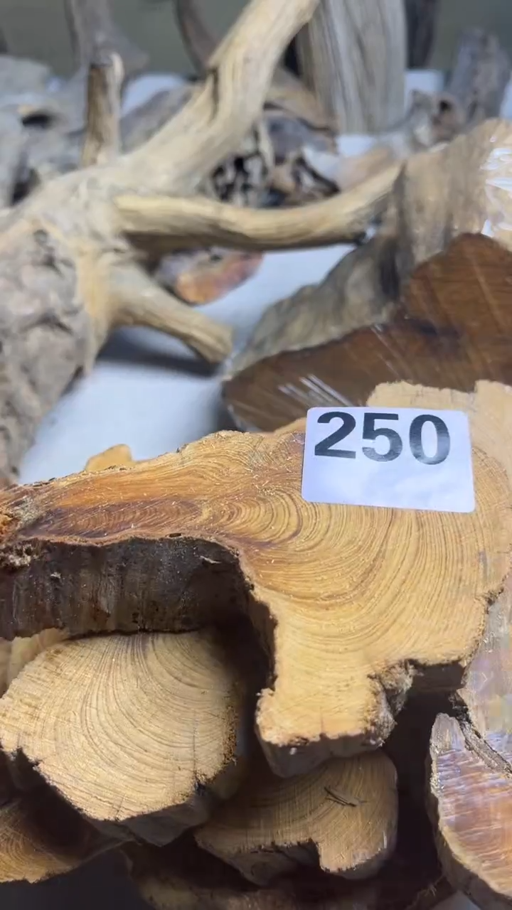 柏木（崖柏）太行崖柏黑油香片