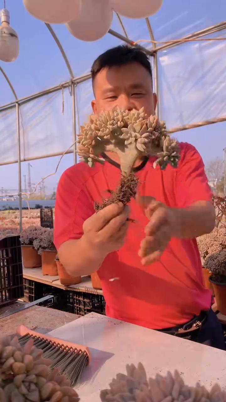 【闪购商品】缀化132