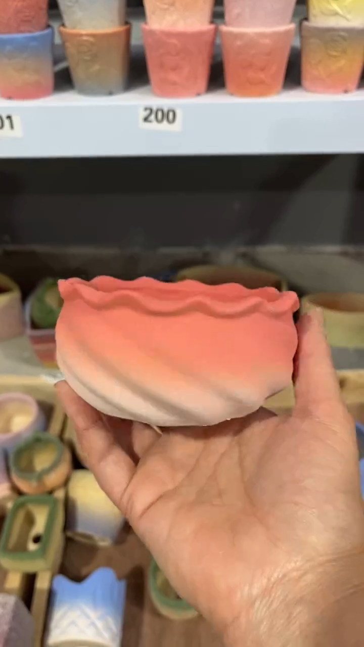 【闪购商品】红陶9*5