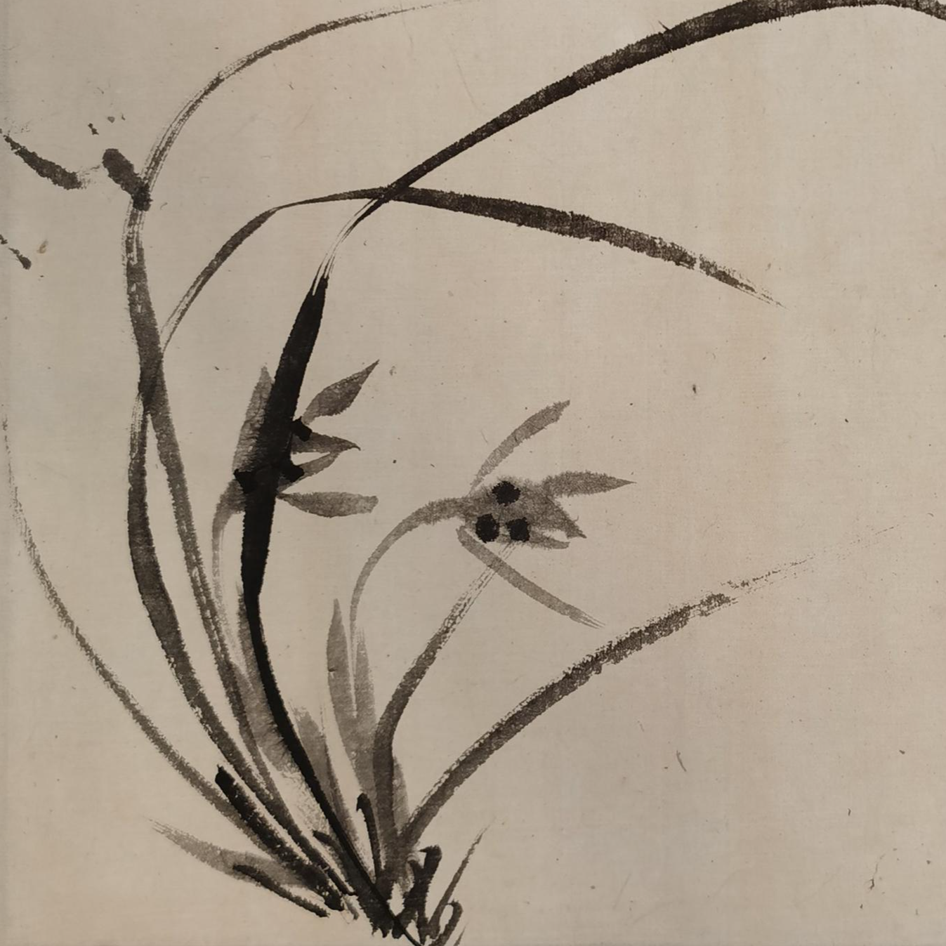 【辽拍】V240624-2-41 《花卉》（0.9平尺)  纸本镜片 ws08