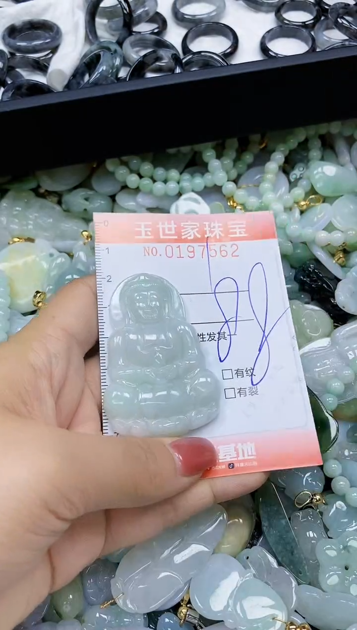 【闪购商品】翡翠颈饰未镶嵌闪购0197562