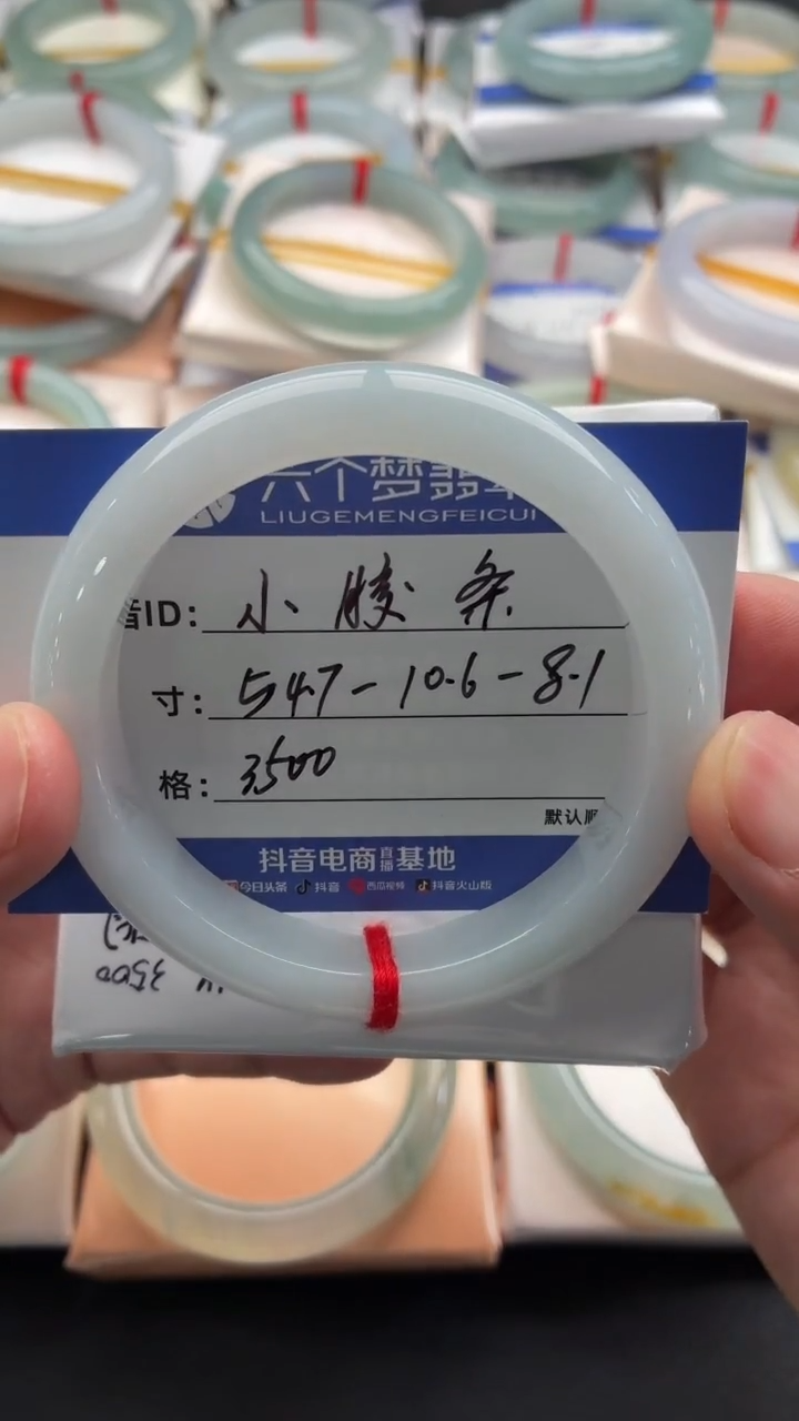 未镶嵌手镯翡翠小胶条 48小时鉴赏期