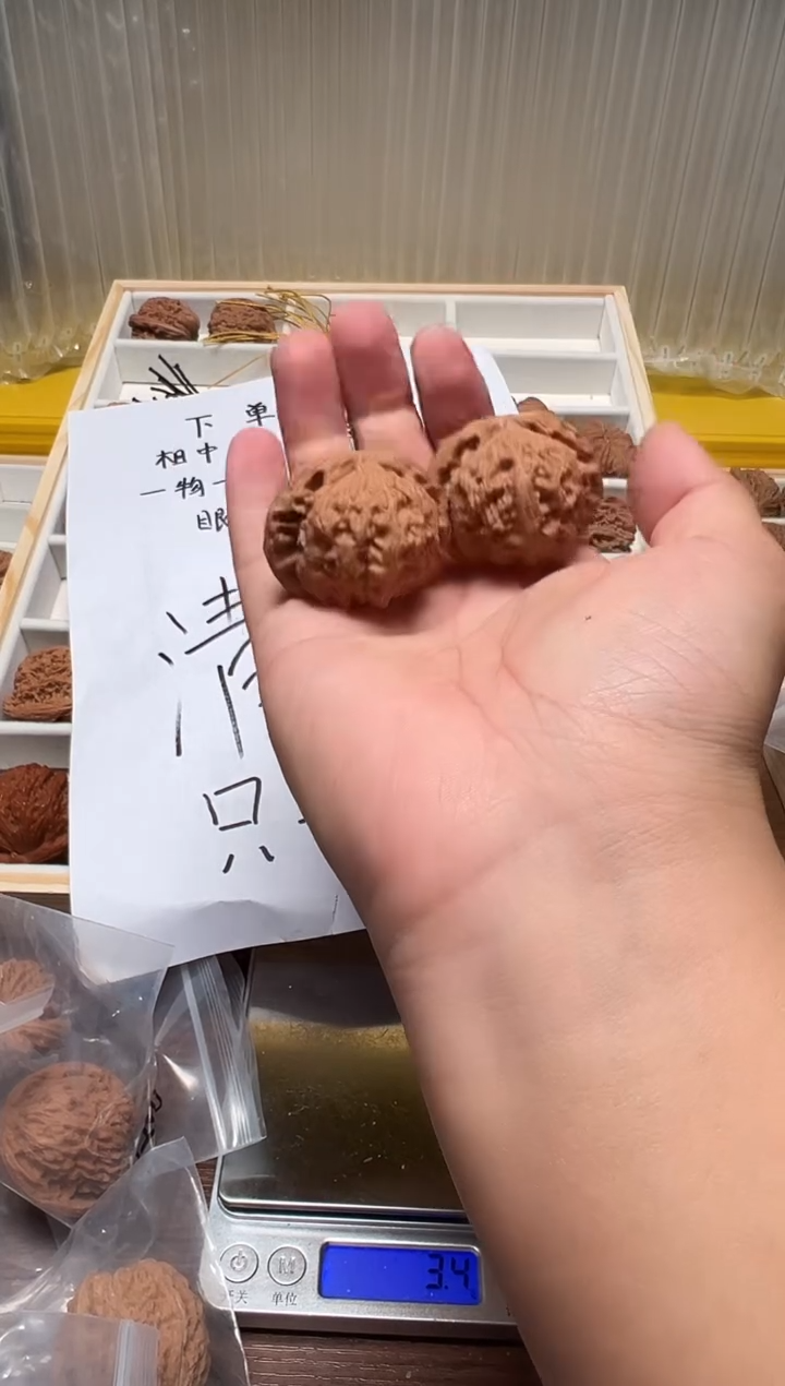 把件文玩核桃T**g40.5白狮子