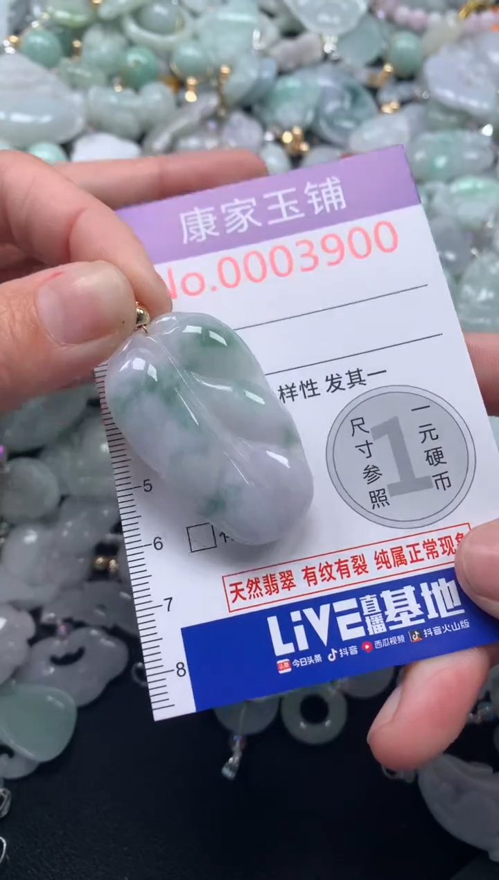 颈饰未镶嵌翡翠3900