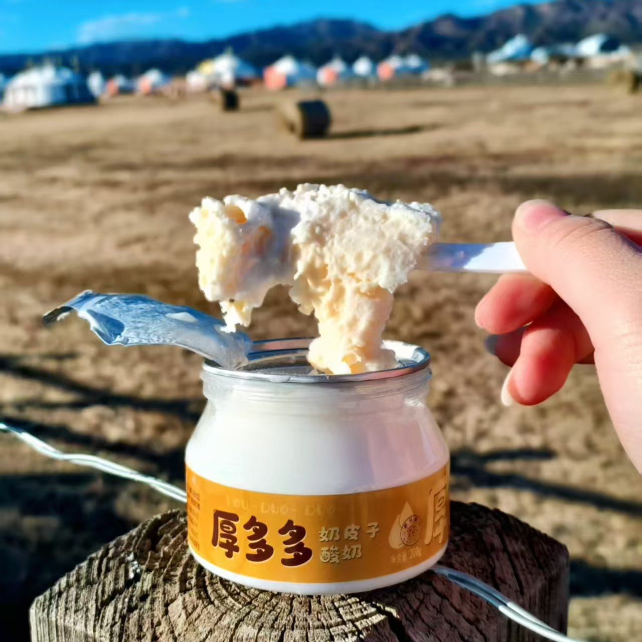 内蒙古奶皮子酸奶厚多多奶皮酸奶冷链包邮生牛乳发酵酸奶