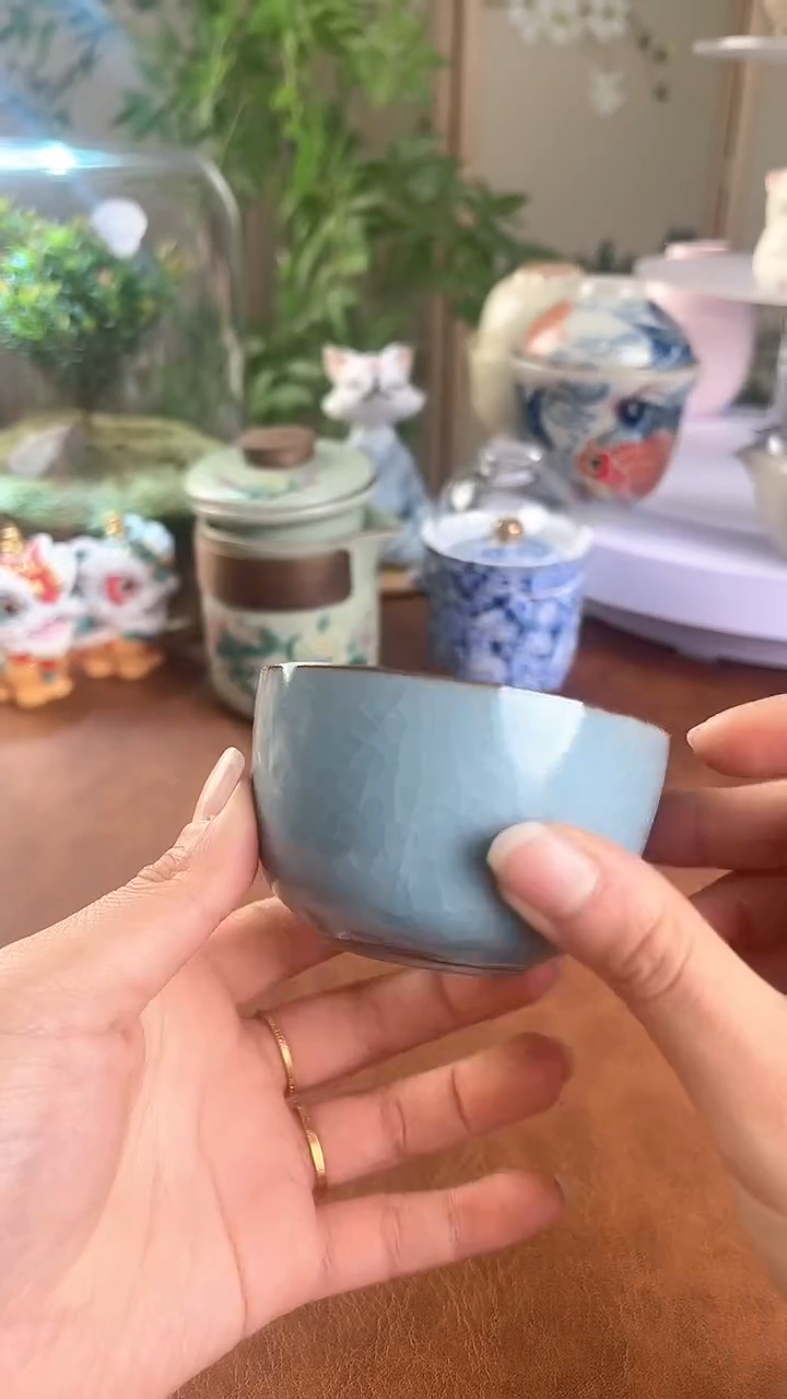 【闪购商品】老实人茶具铺快客