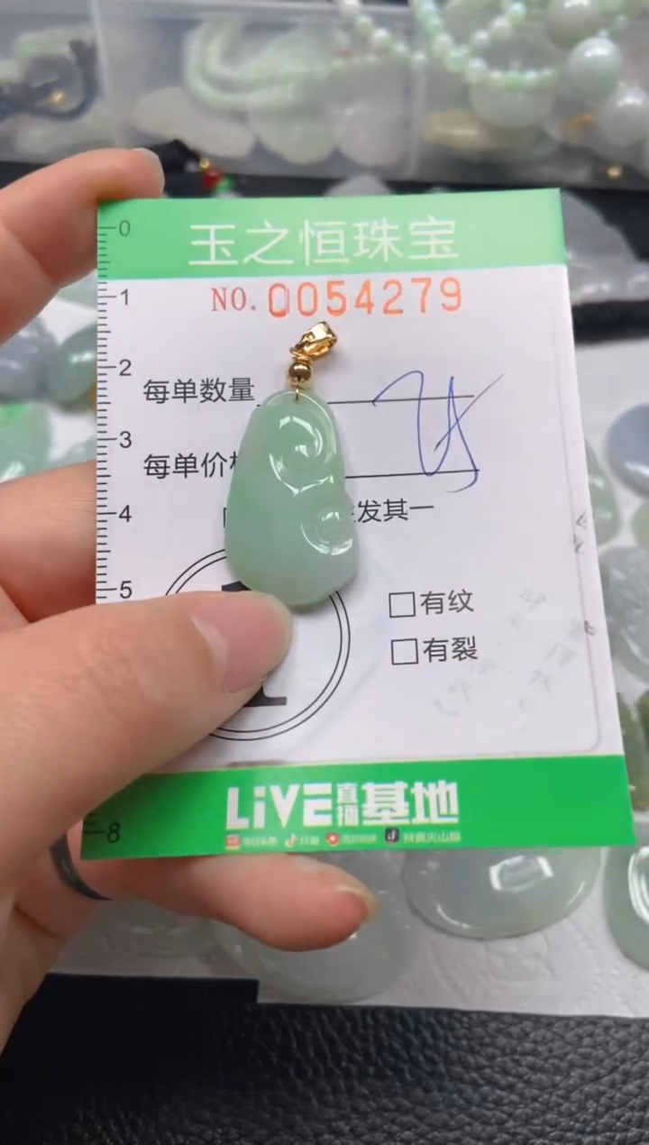 【闪购商品】翡翠未镶嵌颈饰闪购0054279