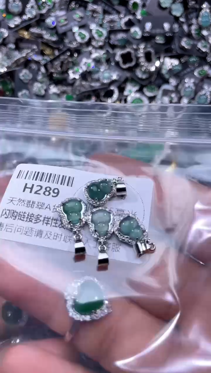 【闪购商品】翡翠颈饰未镶嵌H289多样性发其一