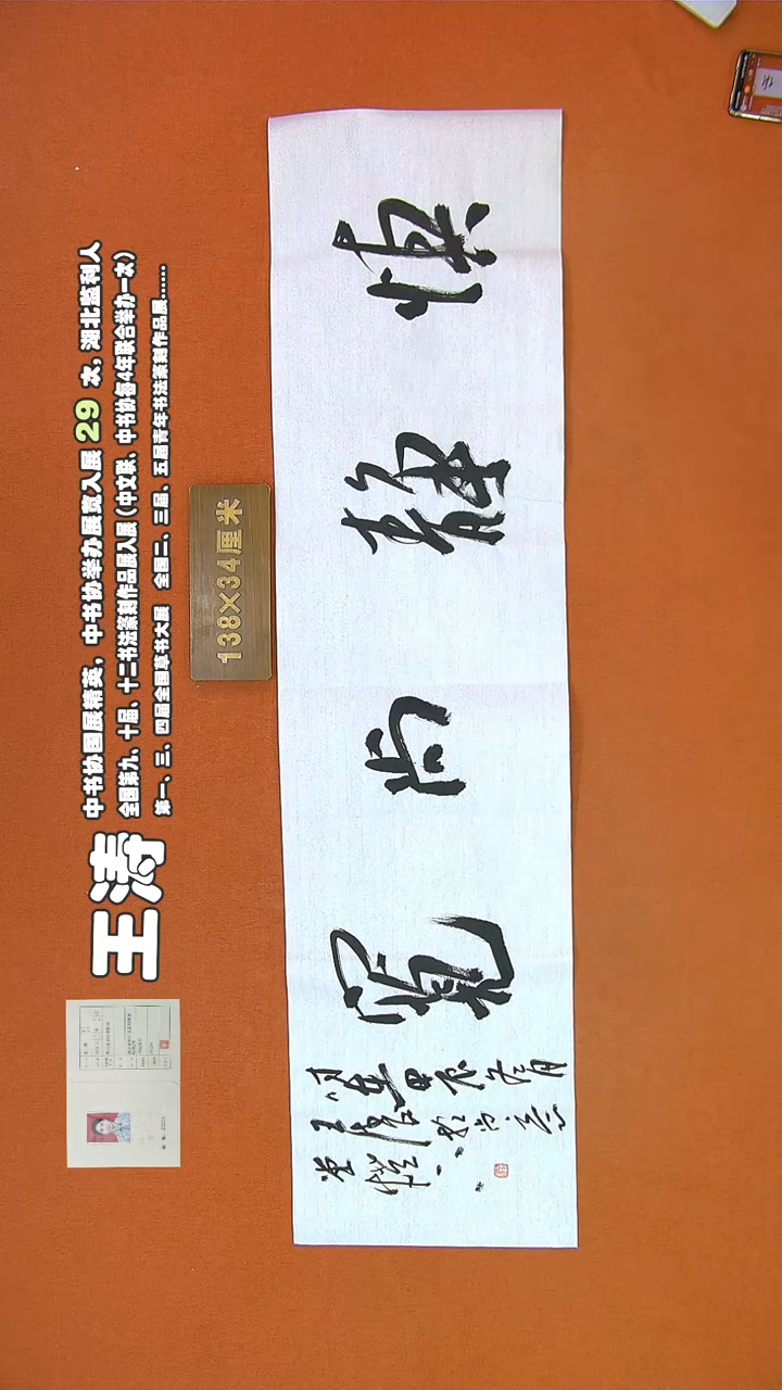 【闪购商品】书法306王涛书法作品