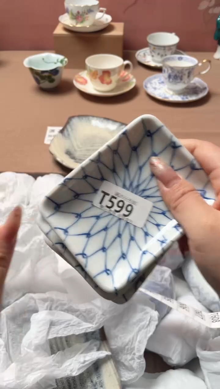 瓷片Z*P瓷器瓷器T599