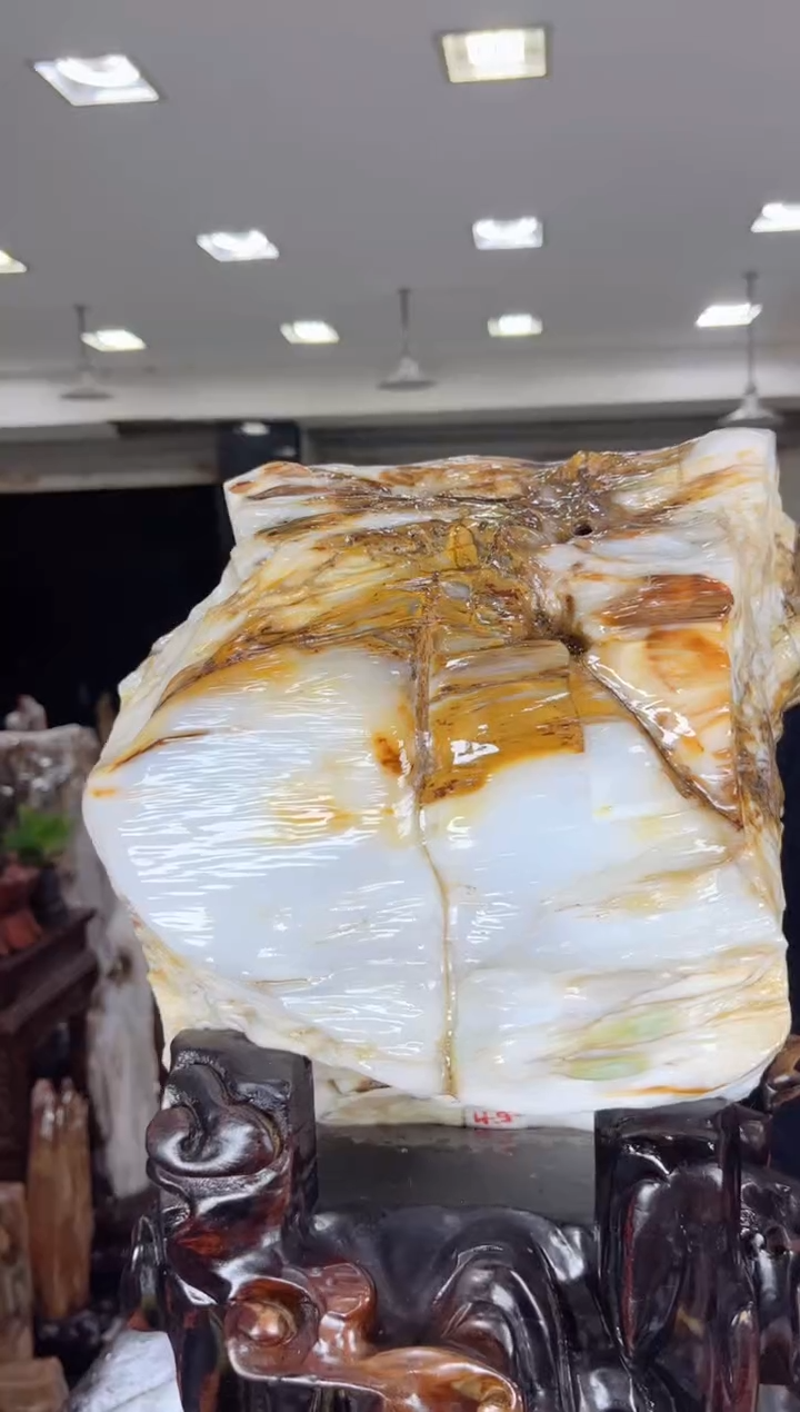 【闪购商品】硅化玉珠宝奇石未镶嵌缅甸天然树化玉