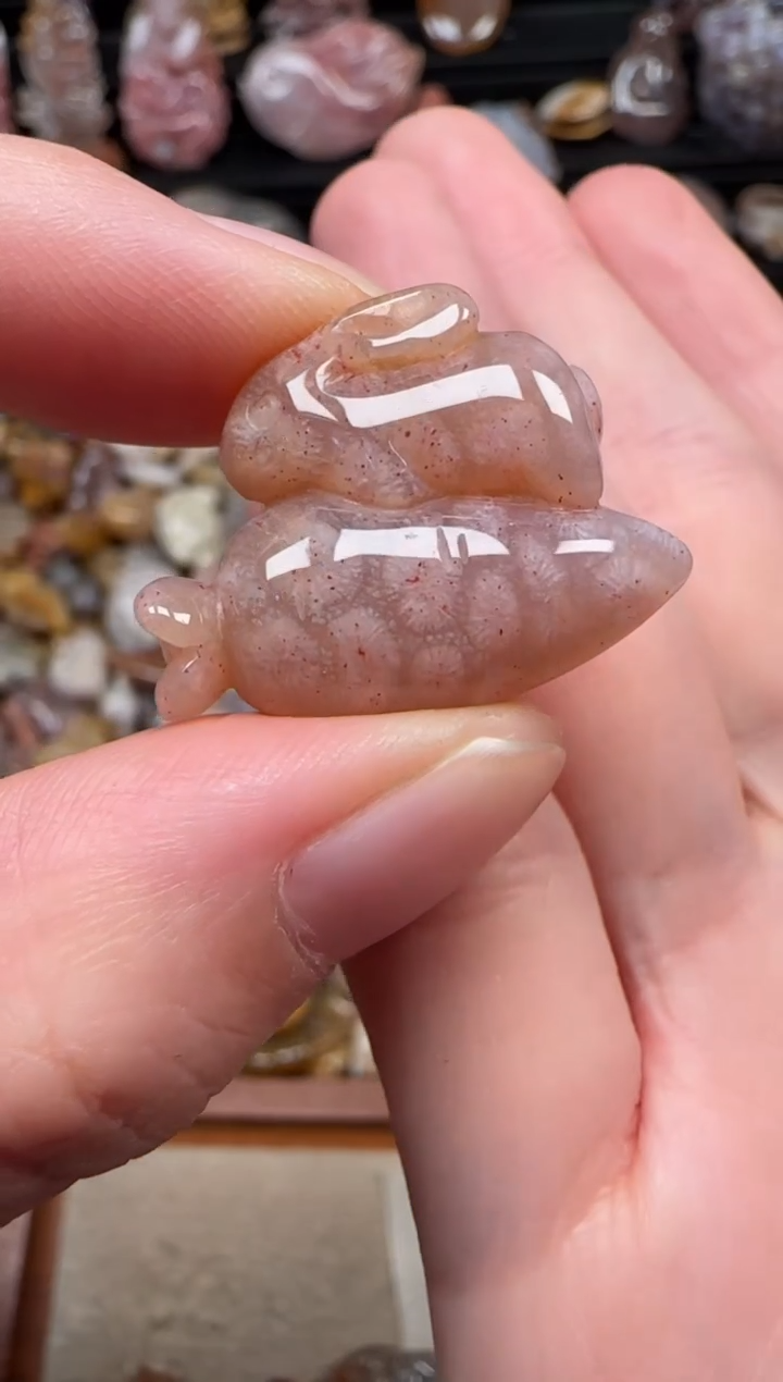 颈饰未镶嵌硅化珊瑚（珊瑚玉）669