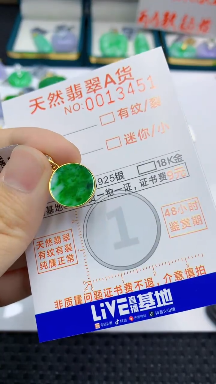 翡翠未镶嵌颈饰             1