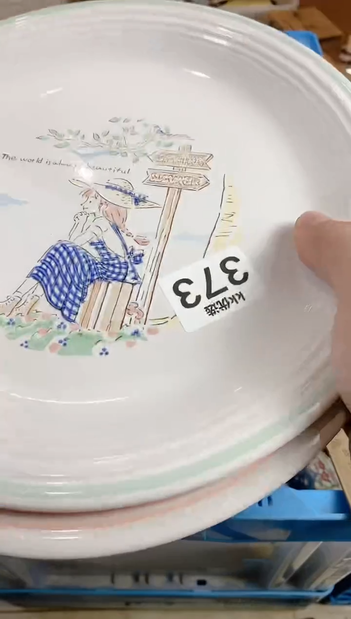 【闪购商品】瓷片373定向 艳丽健康养生